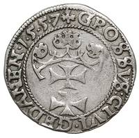 grosz 1557, Gdańsk, odmiana z małą głową króla i końcówką napisu D PRVSSI, T. 4, rzadki, patyna
