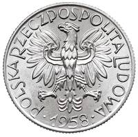 5 złotych 1958, Warszawa, Rybak, odmiana z szeroką cyfrą 8 w dacie, Parchimowicz 220aa, rzadkie i ..