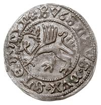 Bogusław X Wielki 1474-1523, szeląg 1495, Dąbie, Dannenberg 383, na monetach pomorskich Bogusława ..