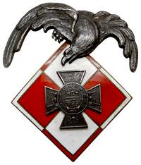 Wojna z Ukrainą 1918-1919, Odznaka Sekcji Lotniczej Obrony Lwowa, na stronie odwrotnej przylutowan..