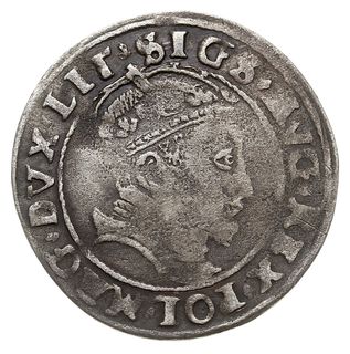 grosz na stopę litewską 1546, Wilno, odmiana z omyłkowym napisem SIGS, Ivanauskas 6SA14-6, T. 3, rzadki, ciemna patyna