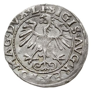 półgrosz 1554, Wilno, Ivanauskas 4SA51-16, T. 12