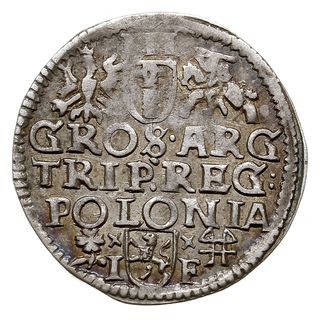trojak 1595, Wschowa, Iger W.95.6.c, patyna