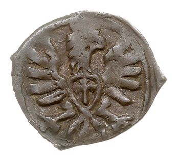 denar 1608, Poznań, T. 7, korona nad herbem niżs