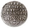 trojak 1557, Gdańsk, na awersie popiersie króla bez obwódki, Iger G.57.2.a (R3), rzadki, patyna
