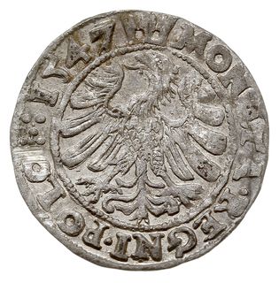 grosz 1547, Kraków, odmiana z 6 kropkami po wyrazie POLO, dużo blasku menniczego
