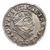 trojak 1539, Gdańsk, Iger G.39.1.e (R1), moneta w pudełku firmy PCGS z oceną MS 62, wyśmienity sta..