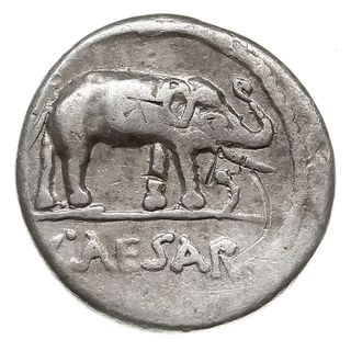 Gajusz Juliusz Cezar, denar 49-48 pne, Rzym, Aw:
