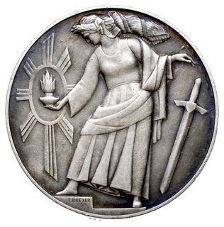 medal na X-lecie Odzyskania Wolności autorstwa T. Breyera 1928 r., Aw: Orzeł z cyfrą X na piersi i napis wokoło, Rw: Polonia z kagankiem w dłoni odrzuca miecz, srebro 55 mm, 85.16 g, Strzałkowski 598 (R), na obrzeżu punca srebra i znak Mennicy Państwowej, patyna