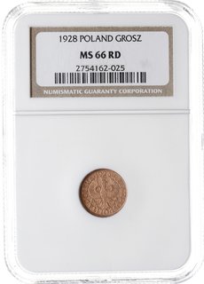 1 grosz 1928, Warszawa, Parchimowicz 101.d, moneta w pudełku NGC z certyfikatem MS66 RD, wyśmienite, w czerwonym odcieniu