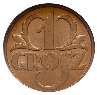 1 grosz 1931, Warszawa, Parchimowicz 101.f, moneta w pudełku NGC z certyfikatem MS66 RD, wyśmienite, w czerwonym odcieniu