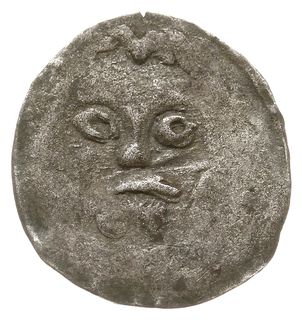Koszalin, denar XV w., Aw: Głowa na wprost, Rw: Odwrócona litera Z, Dbg-P. 188, Kop. 8479 (R5), 0.31 g, słabo odbity, rzadki