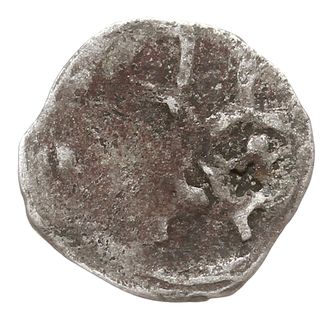 Wołogoszcz, denar XIV w., Aw: Dwa skrzyżowane klucze z piórami w lewo, Rw: Gryf kroczący w lewo, Dbg-P. 321, Kop. 4835 (R8), Dbg-BB. 361, 0.27 g, patyna, bardzo rzadkie