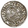 denar typu last small cross 1009-1017, mennica L
