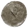 Koszalin, denar XV w., Aw: Głowa na wprost, Rw: Odwrócona litera Z, Dbg-P. 188, Kop. 8479 (R5), 0...