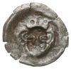 Gryfia, brakteat XIV w., Głowa w koronie na wprost, Dbg-P. 214, Kop. 8467 (R6), 0.18 g