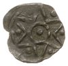 Stargard, denar XV w., Aw: Gwiazda sześcioramien