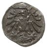 denar 1546, Gdańsk, odmiana z szerokimi krzyżami w herbie, Slg. Marienburg 7931, Kop. 7259 (R4), T..