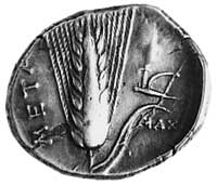 METAPONT, AR stater (330-300 p.n.e.), Aw: Głowa Demeter w wieńcu z kłosów,Rw: Kłos zboża i napis M..