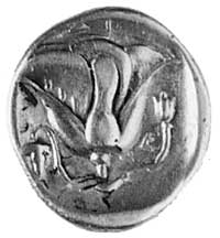 RODOS, AR stater (382-304 p.n.e.), Aw: Głowa Heliosa trzy czwarte w prawo,Rw: Kwiat róży i litera ..