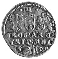 trojak 1599, Wilno, Aw: Głowa i napis, Rw: Napis, niżej herb Łabędź i hak,Kop.III.7 -RR-, Gum.1343..