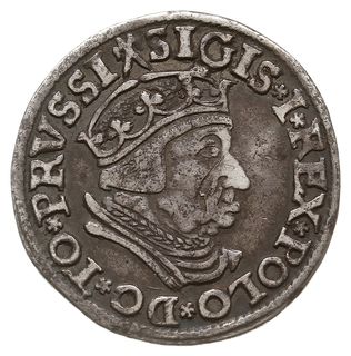 trojak 1537, Gdańsk, odmiana z końcówką napisu GEDANEN, Iger G.37.2.e (R1), CNG 71.I.b, rysa na  portrecie króla