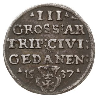 trojak 1537, Gdańsk, odmiana z końcówką napisu GEDANEN, Iger G.37.2.e (R1), CNG 71.I.b, rysa na  portrecie króla
