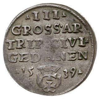 trojak 1539, Gdańsk, na rewersie trójlistki, Iger G.39.1.c (R1), CNG 71.III.b, lekko niedobity