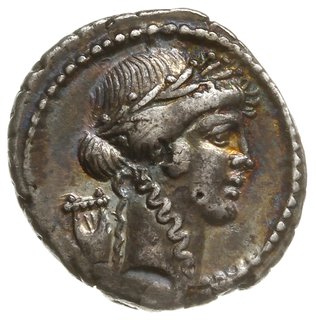 denar, Rzym; Aw: Głowa Apolla w wieńcu laurowym 