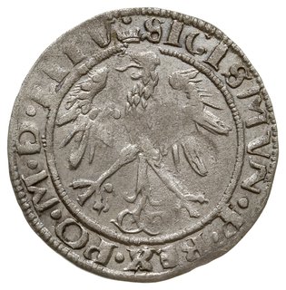 grosz na stopę litewską 1536 I, Wilno, odmiana z literą I pod Pogonią, ogon Orła zakręcony w ósemkę”