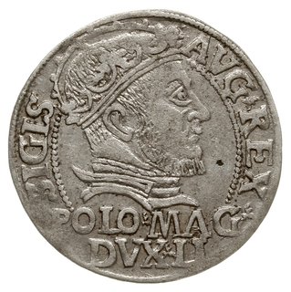 grosz na stopę polską 1546, Wilno, odmiana z datą pod Pogonią