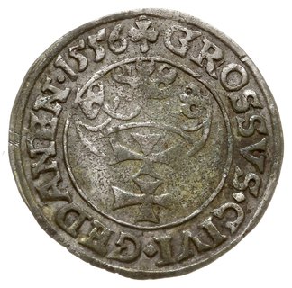 grosz 1556, Gdańsk, mała głowa króla, odmiana napisu PRVS