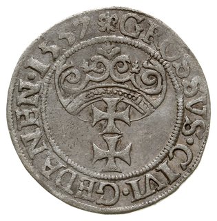 grosz 1557, Gdańsk, typ późniejszy z dużą głową króla, końcówka napisu PRVS