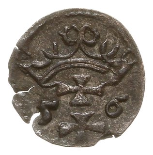 denar 1556, Gdańsk