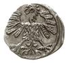 denar 1559, Wilno; Ivanauskas 2SA19-8, Kop. 3217 (R3), Tyszk. 8 Mk; piękny