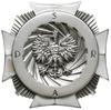 instruktorska odznaka pamiątkowa Wołyńskiej Szko