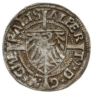 grosz 1524, Królewiec