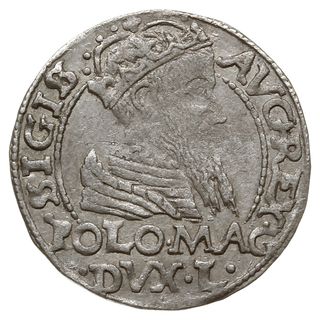 grosz na stopę polską 1566, Tykocin; odmiana z d