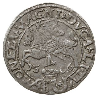 grosz na stopę polską 1566, Tykocin; odmiana z d