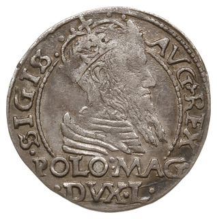 grosz na stopę polską 1566, Tykocin; odmiana z h