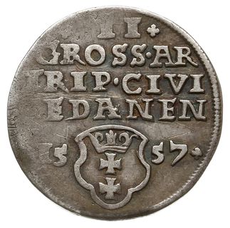 trojak 1557, Gdańsk; popiersie króla bez obwódki