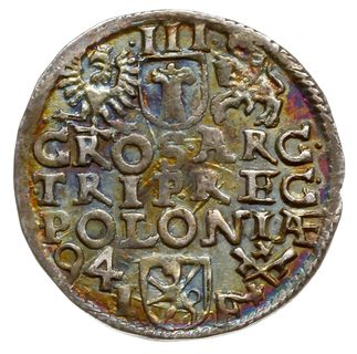 trojak 1594, Poznań; szeroka twarz króla, odmian