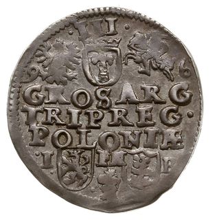 trojak 1596, Poznań