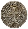 grosz 1506, Głogów; moneta królewicza Zygmunta jako księcia głogowskiego; Aw: Orzeł i napis wokoło..