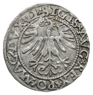 półgrosz 1562, Wilno