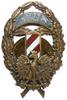 odznaka pamiątkowa Straży Granicznej, dwuczęściowa bita z kontrą, nakładka mocowana na dwóch druta..