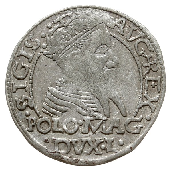 grosz na stopę polską 1566, Wilno; odmiana z her