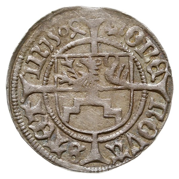 szeląg 1504, Szczecin; Aw: Gryf w lewo i napis w