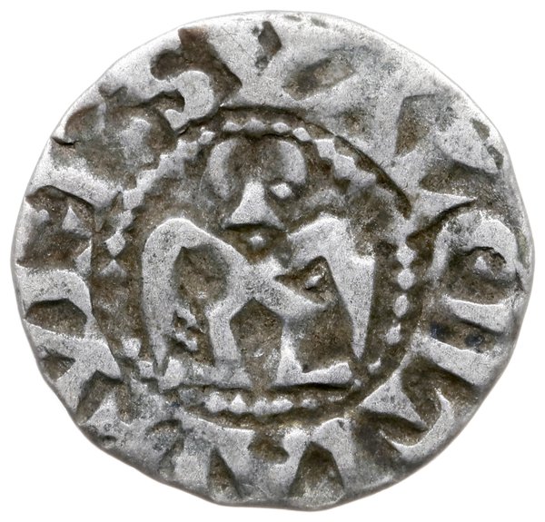 denar XII w.