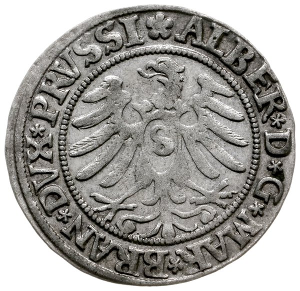 grosz 1532, Królewiec